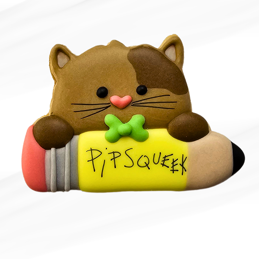 Pencil Pal Cookie decorating class cookie