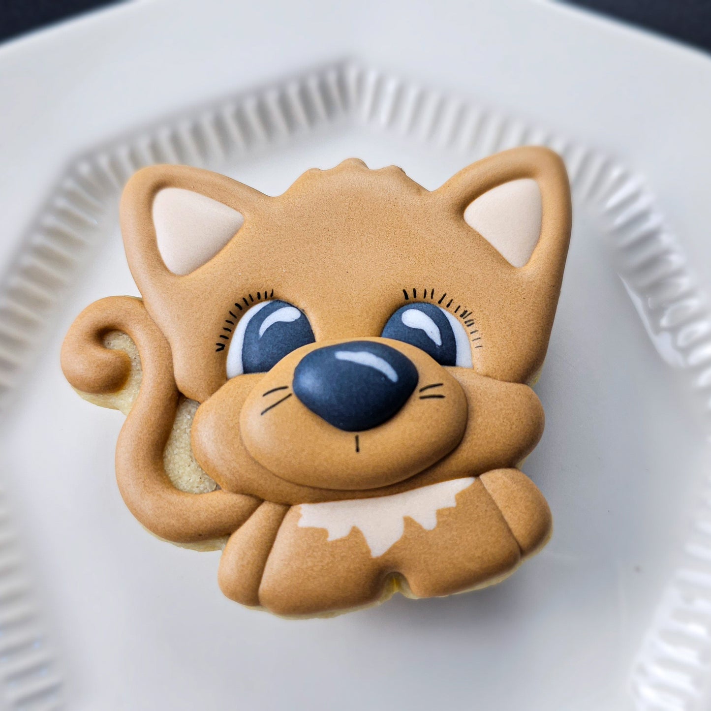 Cute cat sugar cookie on a white plate
