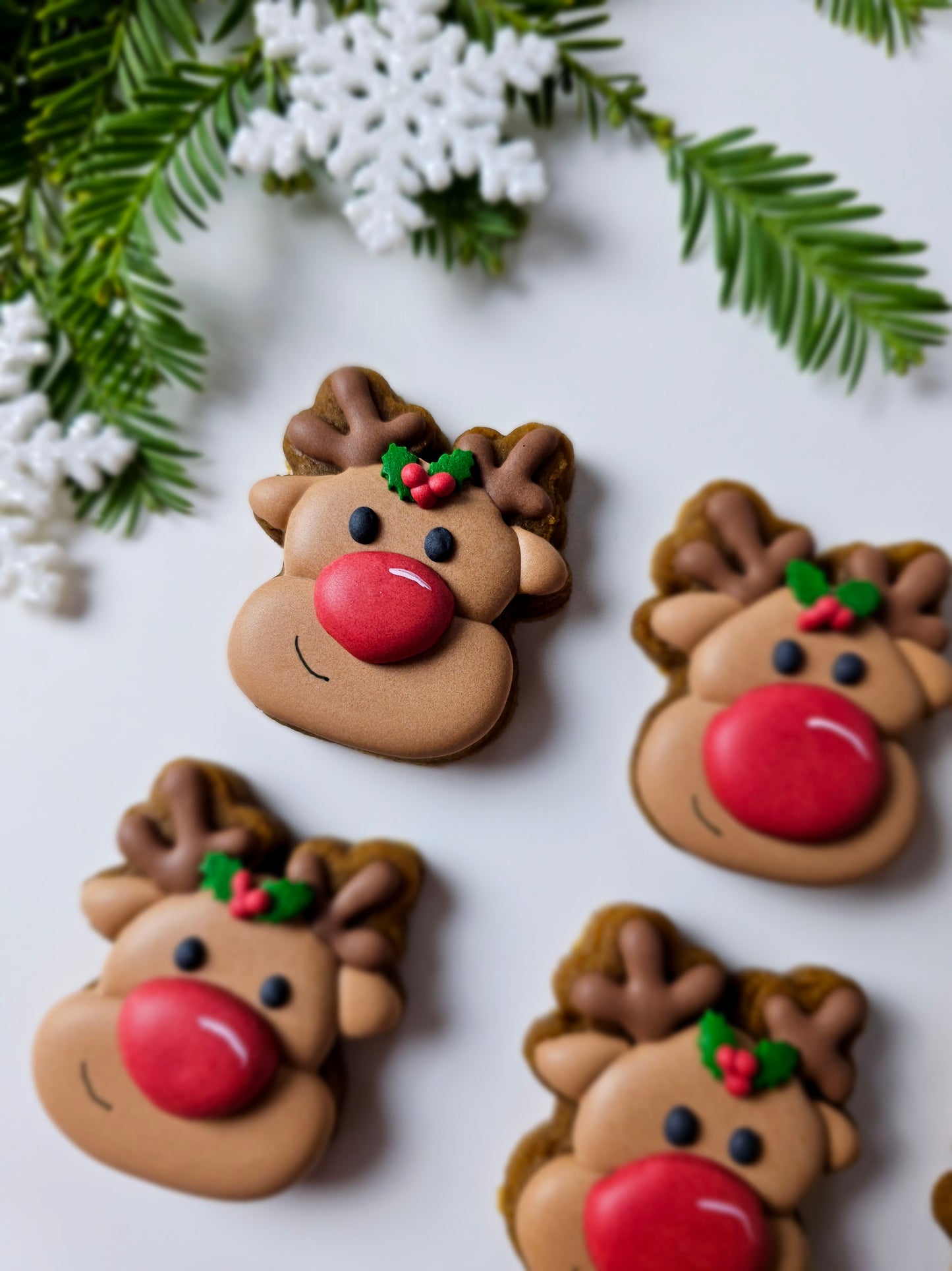 Reindeer-shaped sugar cookies with red noses on a white background with Christmas decorations.