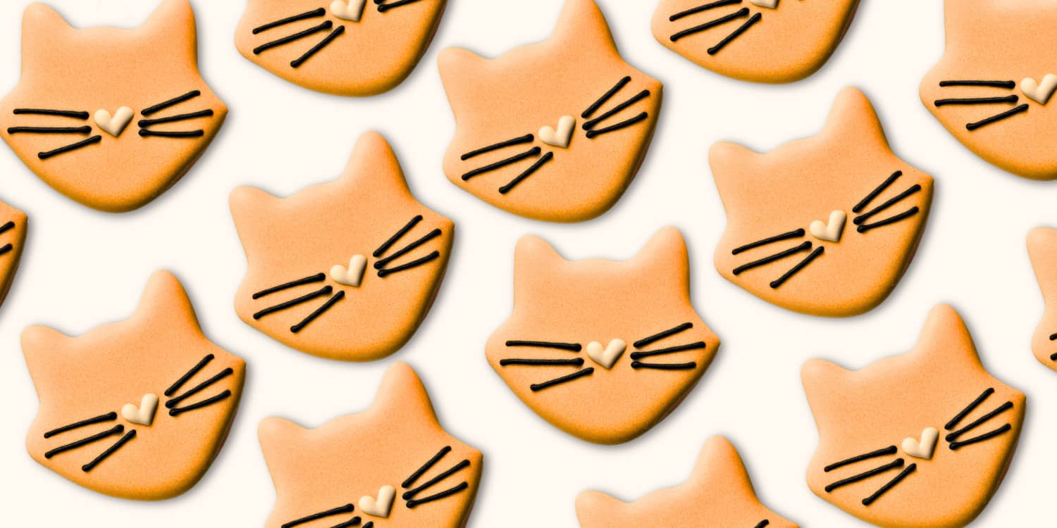 Orange Sugar Cookie Cats