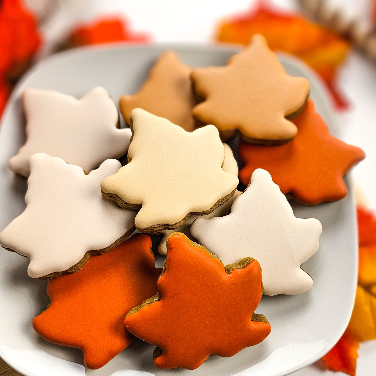 Fall leaves sugar cookies in a variety of warm colors on a plate