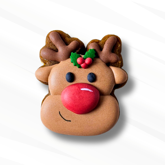 Gingerbread reindeer cookie with brown antlers and red nose on a white background