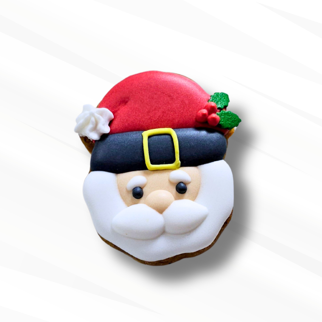 Santa decorated sugar cookie