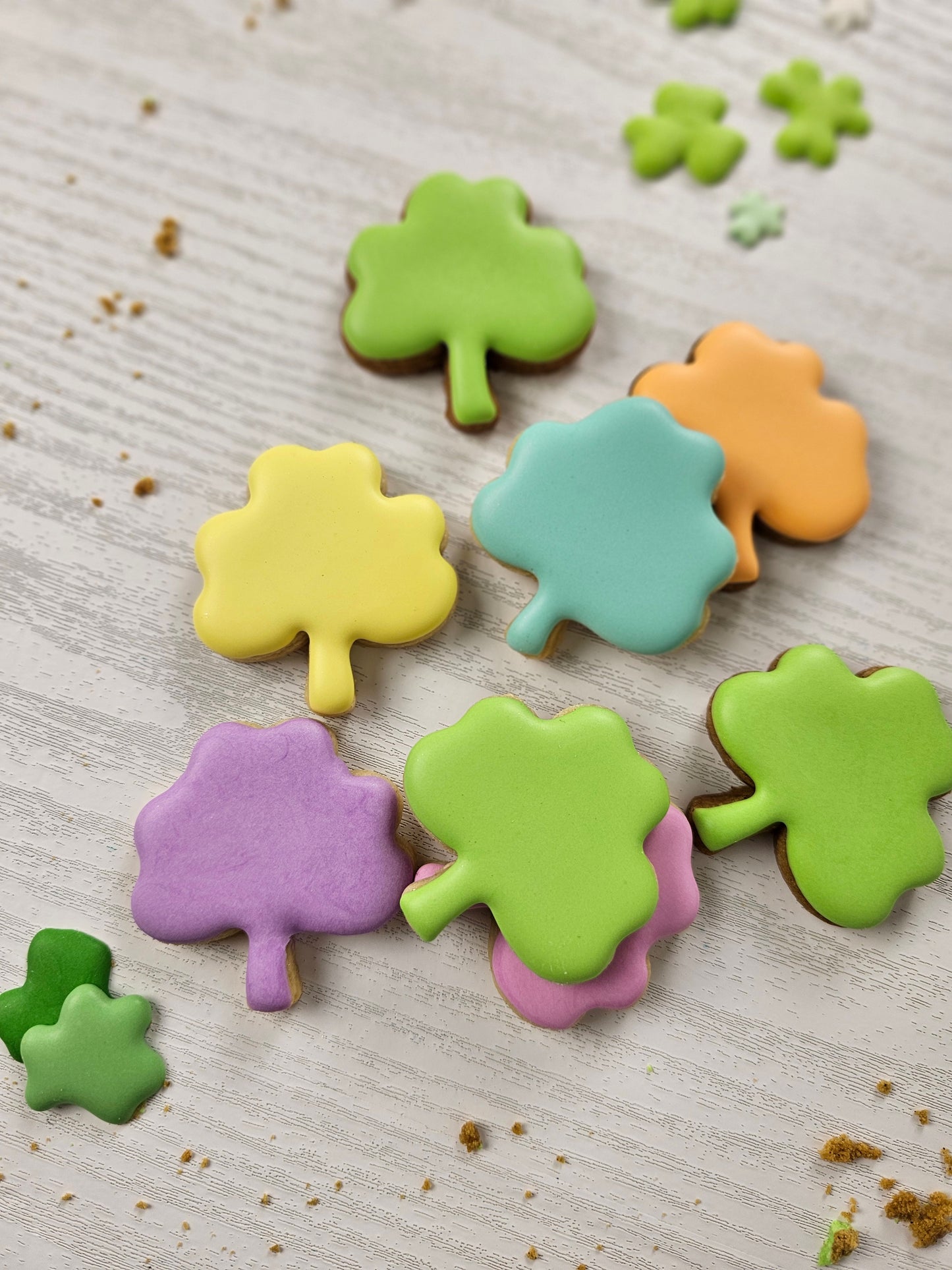 Shamrock sugar cookies 