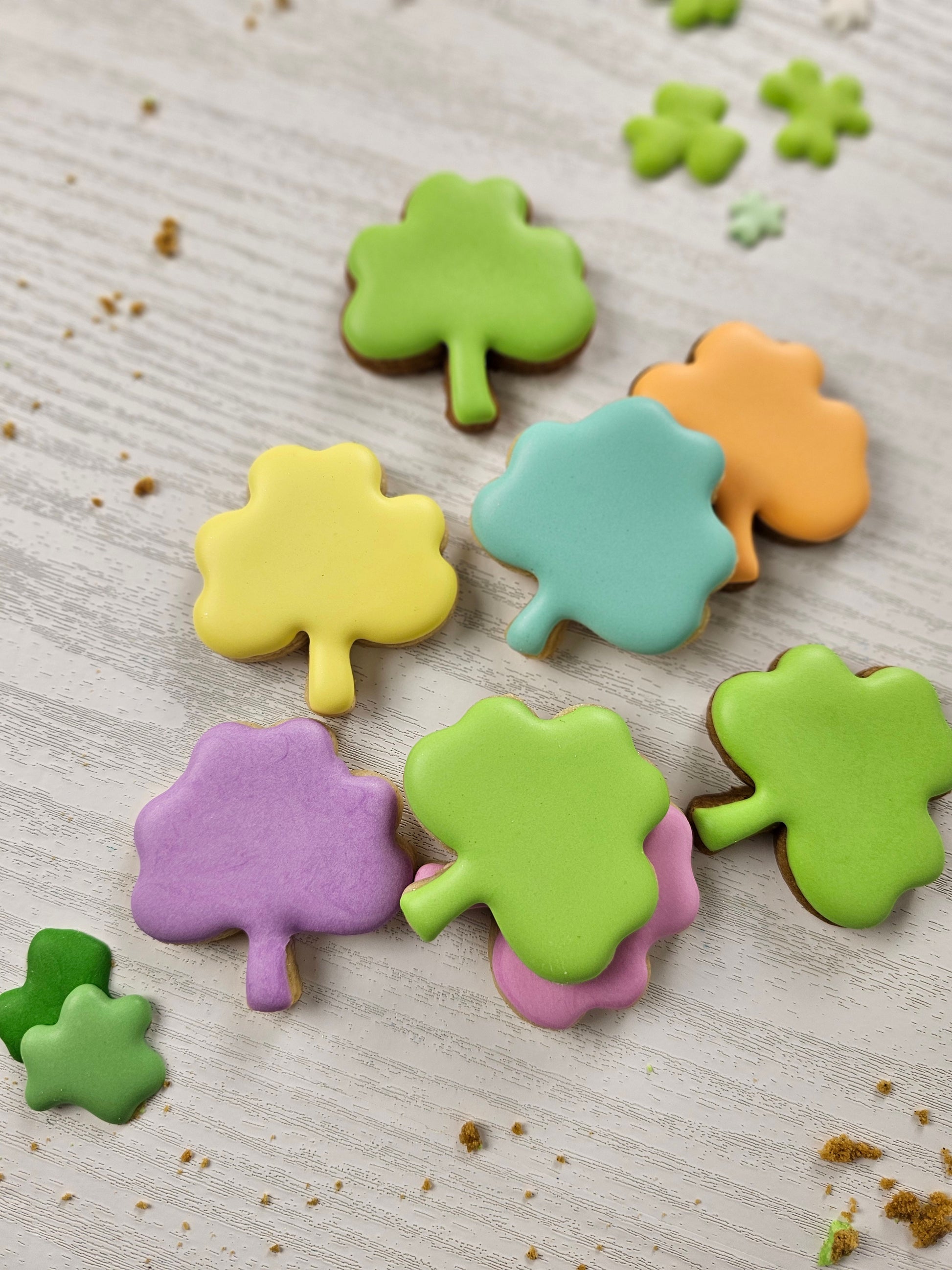 Shamrock sugar cookies 